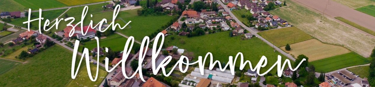 Luftbild Thoerigenjpg CUT